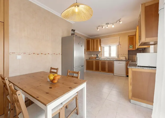 Second Life Baleal 费雷尔